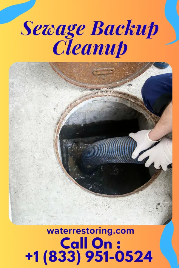 Sewage Backup Cleanup in K. I. Sawyer, MI