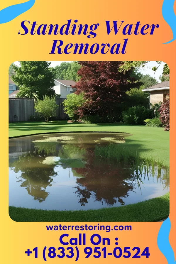 Standing Water Removal in K. I. Sawyer, MI
